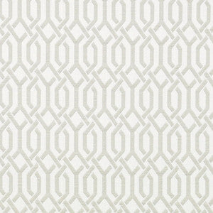 Wired # 941 Vapor by Maxwell Fabric