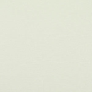 Wildland # 505 Snow by Maxwell Fabric