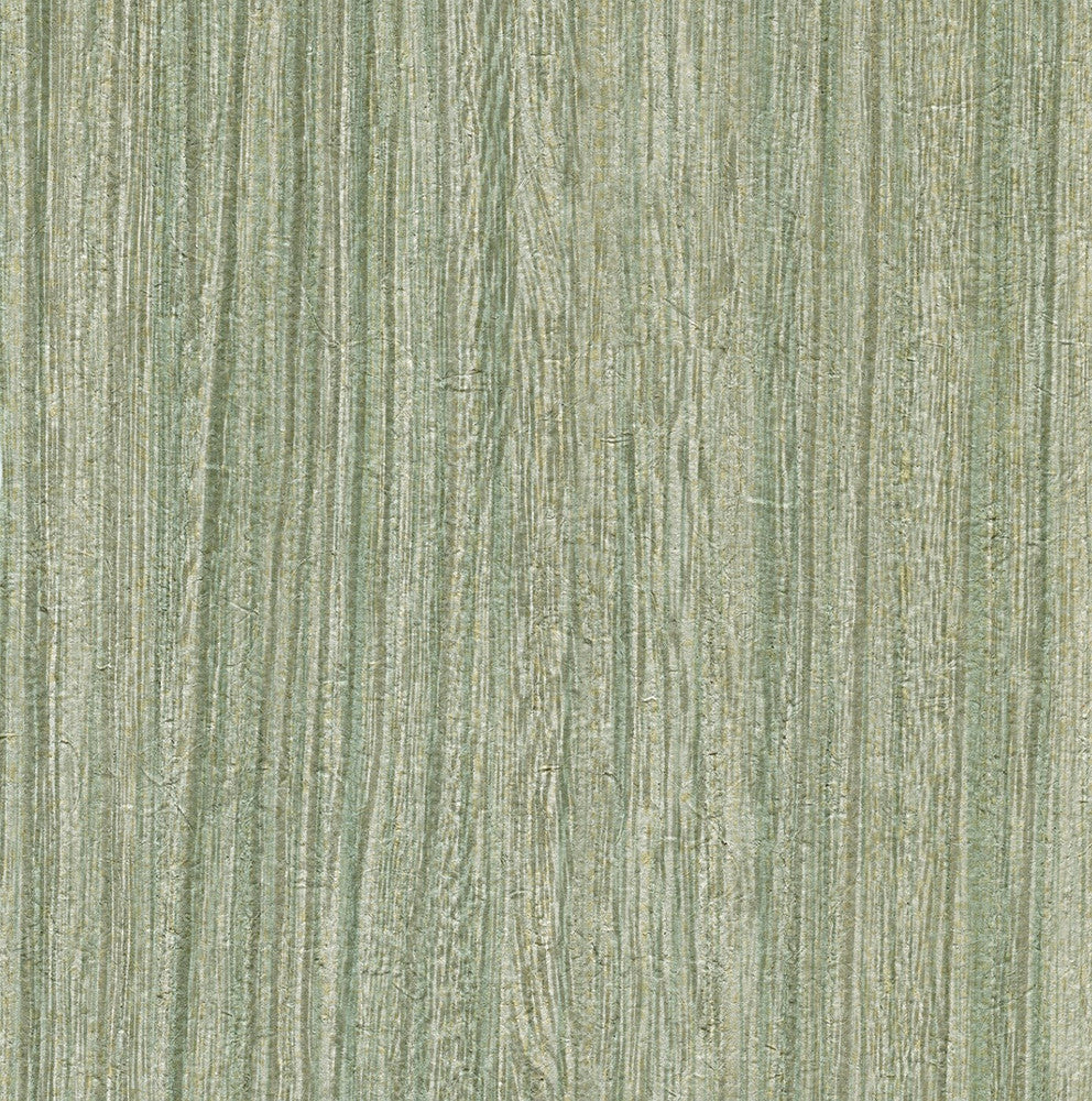 Derndle Moss Faux Plywood Wallpaper by Warner Warner Textures Vol IV Covers about 60.8 square feet 27-in by 27-ft long roll Unpasted 0 - Fabric Carolina -