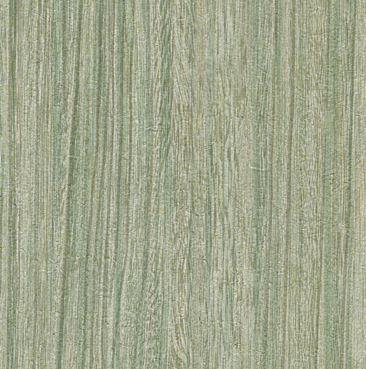 Derndle Moss Faux Plywood Wallpaper by Warner Warner Textures Vol IV Covers about 60.8 square feet 27-in by 27-ft long roll Unpasted 0 - Fabric Carolina -
