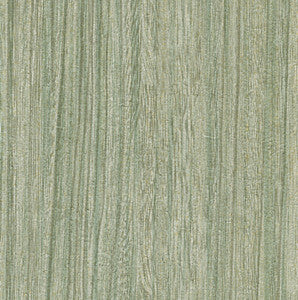 Derndle Moss Faux Plywood Wallpaper by Warner