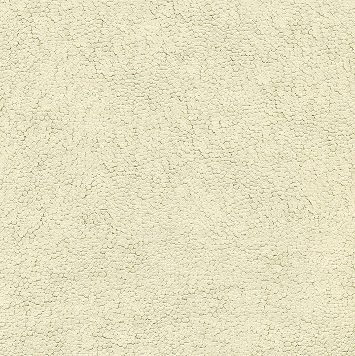 Soda Olive Shiny Circle Texture Wallpaper by Warner Warner Textures Vol IV Covers about 60.8 square feet 27-in by 27-ft long roll Unpasted 0 - Fabric Carolina -