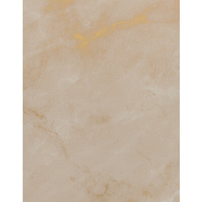 WDW2187.WT.0 by Winfield Thybony Wallcovering Winfield Thybony Wallcovering WDW2187.WT.0Wallcovering WINFIELD THYBONY VINYL ON NON WOVEN - 100% United States </p><p>Repeat: H: , V: 54 - Fabric Carolina -