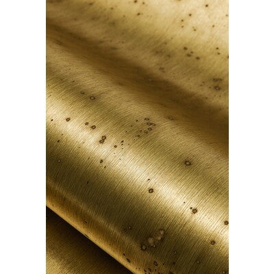 WDW2306.WT.0 by Winfield Thybony Wallcovering Winfield Thybony Wallcovering WDW2306.WT.0Wallcovering WINFIELD THYBONY FOIL ON NON-WOVEN - 100% United States </p><p>Repeat: H: , V: 36 - Fabric Carolina -