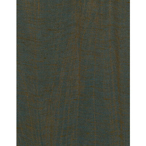 Iverson Peacock Feather by Winfield Thybony Wallcovering