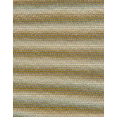 WDW2338.WT.0 by Winfield Thybony Wallcovering Winfield Thybony Wallcovering WDW2338.WT.0Wallcovering WINFIELD THYBONY POLYESTER - 100% United States </p><p>Repeat: H: , V: 54 - Fabric Carolina -