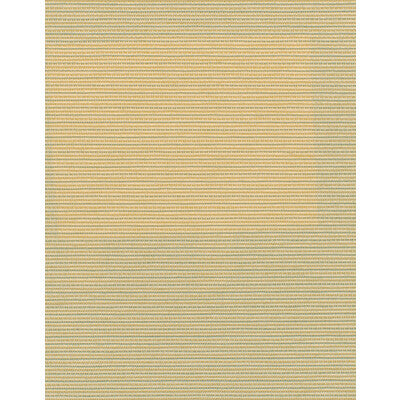 WDW2339.WT.0 by Winfield Thybony Wallcovering Winfield Thybony Wallcovering WDW2339.WT.0Wallcovering WINFIELD THYBONY POLYESTER - 100% United States </p><p>Repeat: H: , V: 54 - Fabric Carolina -
