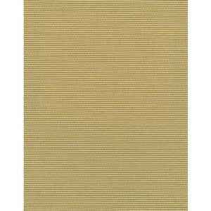 Elza Spun Silk by Winfield Thybony Wallcovering