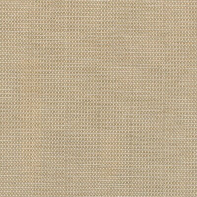 Winfield Thybony Wallcovering WDW2348P.WT.0 Wallcovering OLEFIN - 100% United States </p><p>Repeat: H: , V: 27.5 21 - My Fabric Connection -