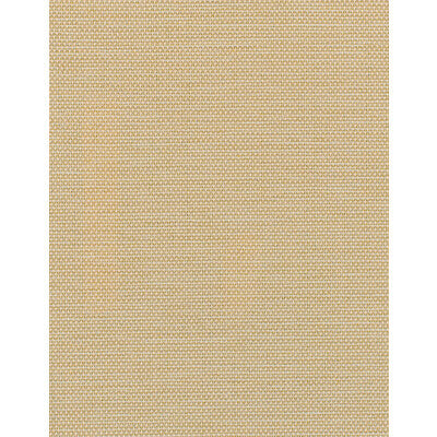 WDW2353.WT.0 by Winfield Thybony Wallcovering Winfield Thybony Wallcovering WDW2353.WT.0Wallcovering WINFIELD THYBONY OLEFIN - 100% United States </p><p>Repeat: H: , V: 54 - Fabric Carolina -