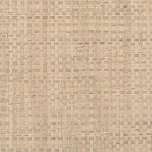 Catalina Weave Raffia by Winfield Thybony Wallcovering