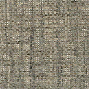 Catalina Weave Agavep WDW2395P.WT.0 by Winfield Thybony Wallcovering