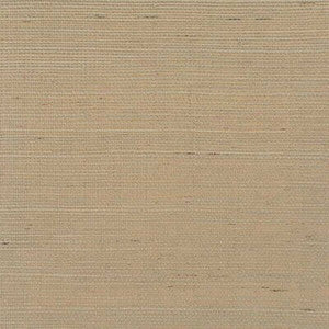 Distinctive Sisals Acorn by Winfield Thybony Wallcovering