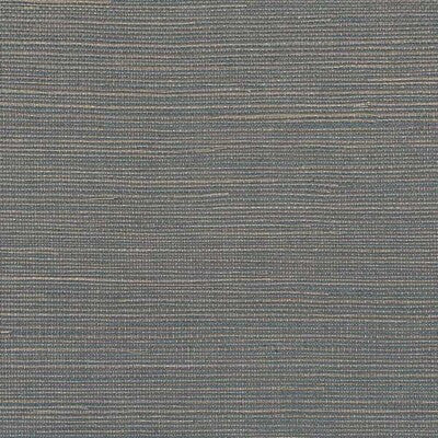 WDW2403.WT.0 by Winfield Thybony Wallcovering Winfield Thybony Wallcovering WDW2403.WT.0Wallcovering WINFIELD THYBONY SISAL - 100% United States </p><p>Repeat: H: , V: 36 - Fabric Carolina -