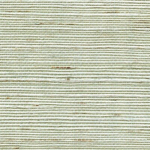 Distinctive Sisals Celery Salt by Winfield Thybony Wallcovering