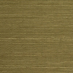 Distinctive Sisals Moss by Winfield Thybony Wallcovering