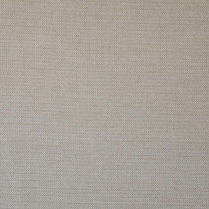 Wet Sand # 21301 Latte by Maxwell Fabric