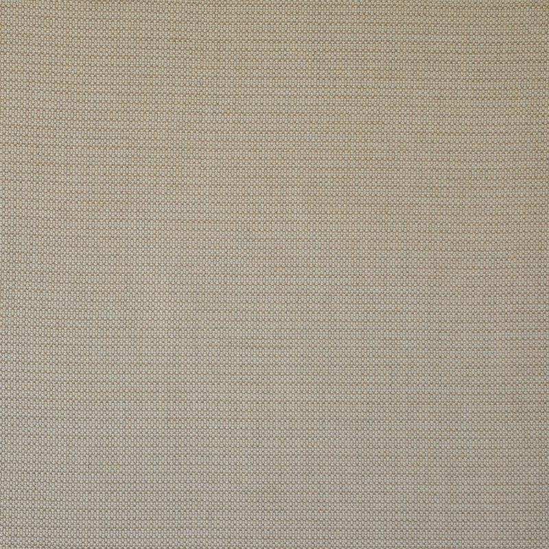Wet Sand # 501 Camel by Maxwell Fabric Home & Garden-Act I 100% SUNBRELLA ACRYLIC USA 54" - Fabric Carolina -