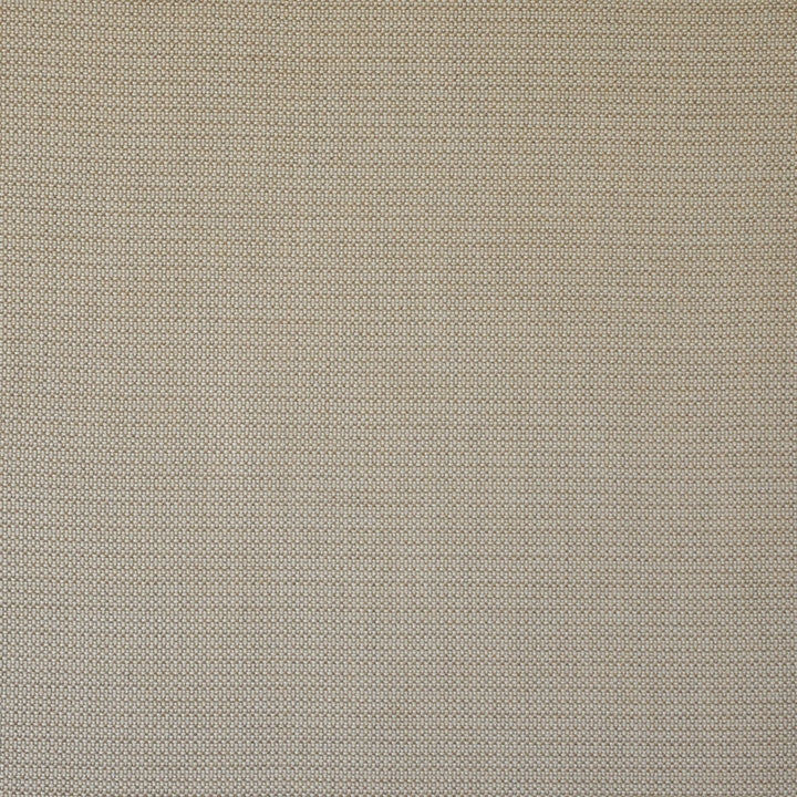 Wet Sand # 501 Camel by Maxwell Fabric Home & Garden-Act I 100% SUNBRELLA ACRYLIC USA 54" - Fabric Carolina -