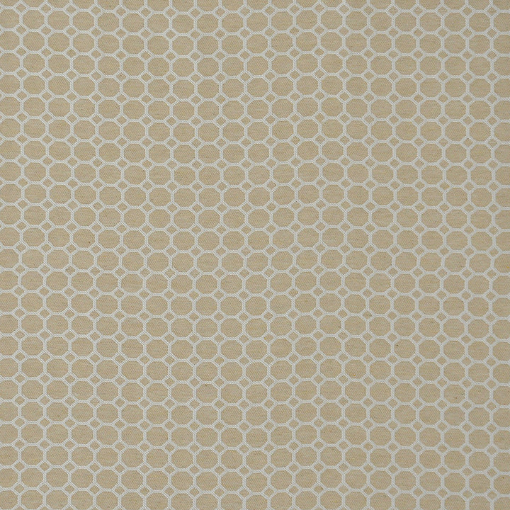 Well Rounded # 725 Honeycomb by Maxwell Fabric PERFORMANCE WOVENS-VOL.II CANYON 66% POLYESTER
34% RECYLCED COTTON USA See sample </p><p>Repeat: Horizontal: 0.7" and Vertical: & 55.5" - Fabric Carolina -