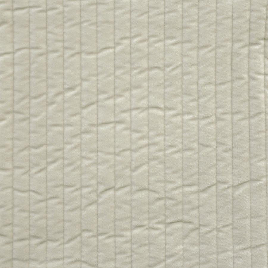 Westwind # 931 Bone by Maxwell Fabric Performance Wovens-Vol. V Silver Sun 100% POLYESTER SOUTH KOREA V- 6" 54" - Fabric Carolina -