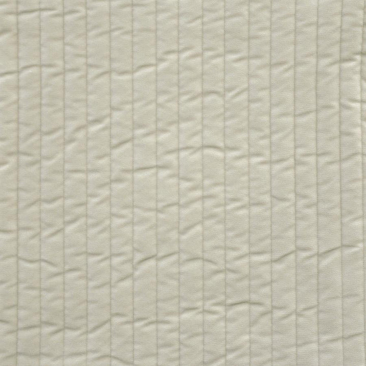 Westwind # 931 Bone by Maxwell Fabric Performance Wovens-Vol. V Silver Sun 100% POLYESTER SOUTH KOREA V- 6" 54" - Fabric Carolina -