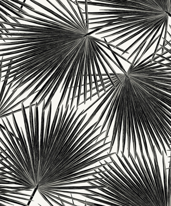 Elvis Palms Inky by Seabrook Wallpaper Piano Netherlands 57.5 25.2" 20.9" - Fabric Carolina -