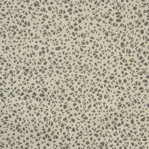 Williston # 634 Crag by Maxwell Fabric