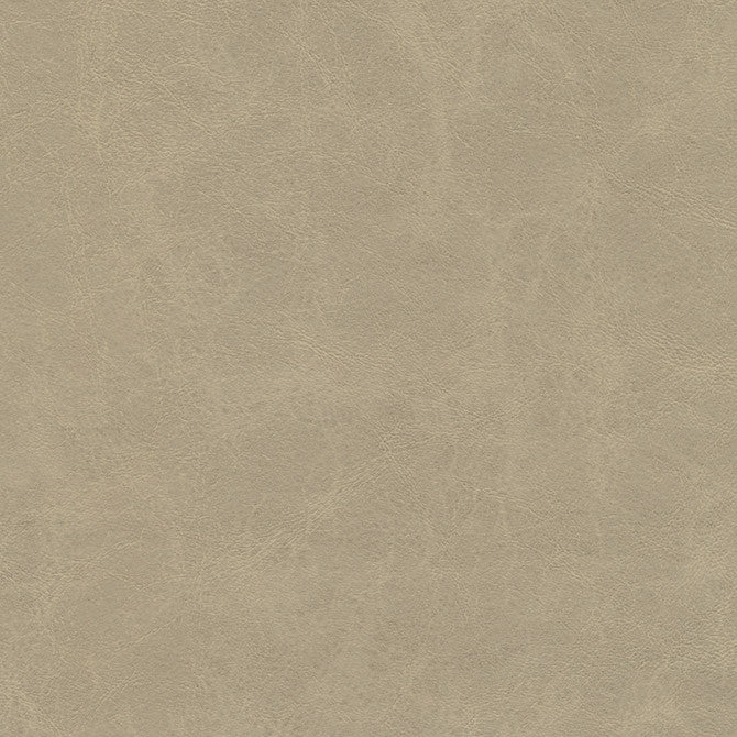 Warden-Nj # 995 Parchment by Maxwell Designer Fabric Memos Only-Coated Fabrics FACE: 100% PVC
BACKING: 100% POLYESTER KOREA 54" - Swanky Fabrics -