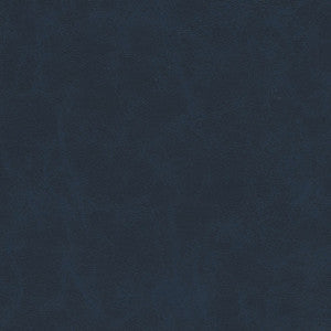 Warden-Nj # 998 Pacific by Maxwell Fabric
