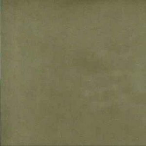 Wheeler Fern 6451 by Norbar Fabric CARESS 95% POLYESTER 5% POLYURETHANE 100,000 WYZENBEEK N/A 56" - Fabric Carolina -