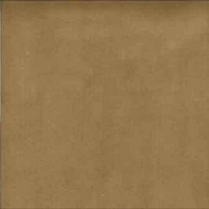 Wheeler Parsley 6452 by Norbar Fabric CARESS 95% POLYESTER 5% POLYURETHANE 100,000 WYZENBEEK </p><p>Repeat: N/A 56" - Fabric Carolina -