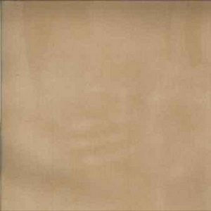 Wheeler Straw 6413 by Norbar Fabric CARESS 95% POLYESTER 5% POLYURETHANE 100,000 WYZENBEEK N/A 56" - Fabric Carolina -
