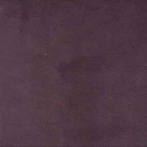 Wheeler Violet 6445 by Norbar Fabric See Sample 95% POLYESTER 5% POLYURETHANE 100,000 WYZENBEEK N/A 56" - Fabric Carolina -