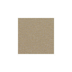 Radiate Sable by Winfield Thybony Wallcovering