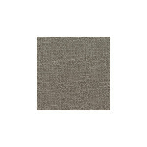 Radiate Graphite by Winfield Thybony Wallcovering