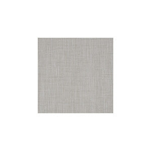Beckett Feather by Winfield Thybony Wallcovering