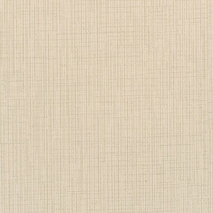 Becker Plaster by Winfield Thybony Wallcovering