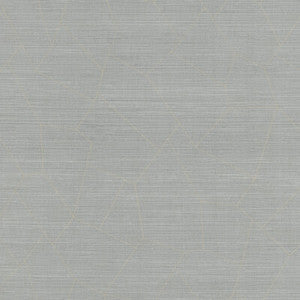 Vivace Bay WHF1743.WT.0 by Winfield Thybony Wallcovering