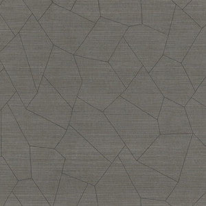 Vivace Graphite WHF1748.WT.0 by Winfield Thybony Wallcovering