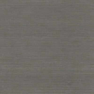 Winfield Thybony - Wallcovering - WHF1758.WT.0 - Wallcovering - VINYL - 100% - United States </p><p>Repeat: H: , V: 27.5 21 - My Fabric Connection -