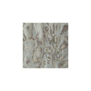 Abalone Frostp by Winfield Thybony Wallcovering