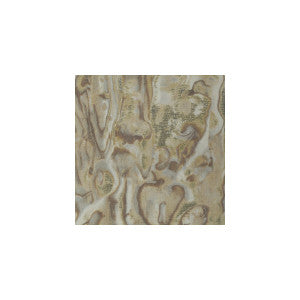 Abalone Siltp by Winfield Thybony Wallcovering