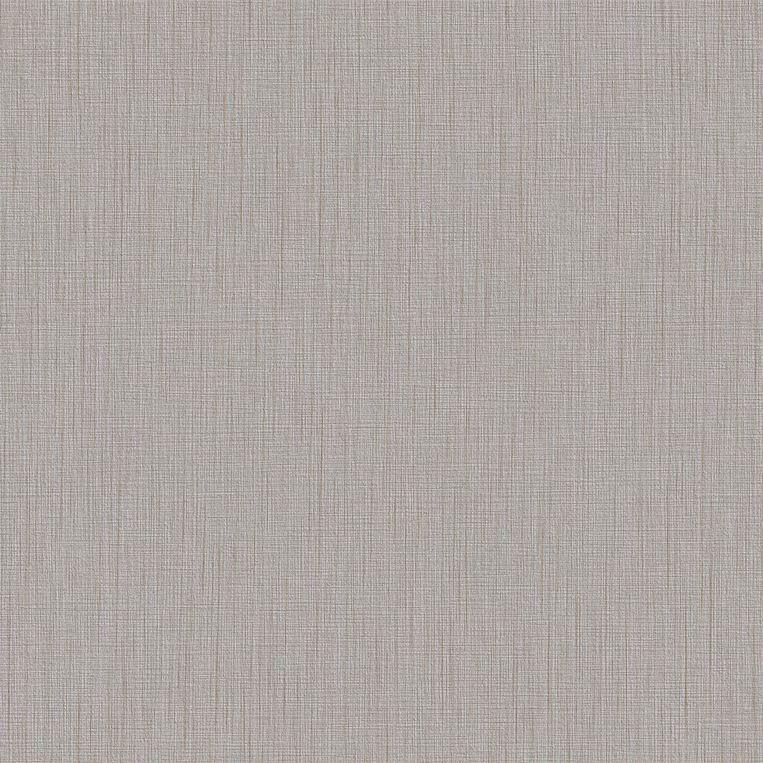 Dove By Winfield Thybony Wallcovering