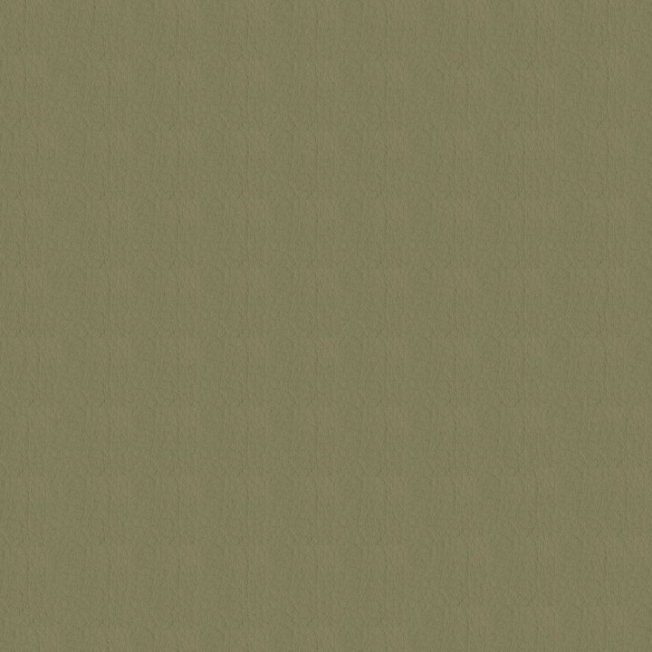 Whisper Vinyl 2119 Gravel by Softside Fabric N/A Vinyl/Urethane Topcoat Costa Rica 100,000 Double Rubs </p><p>Repeat: Horizontal: and Vertical: 54" (137 cm) - Fabric Carolina -