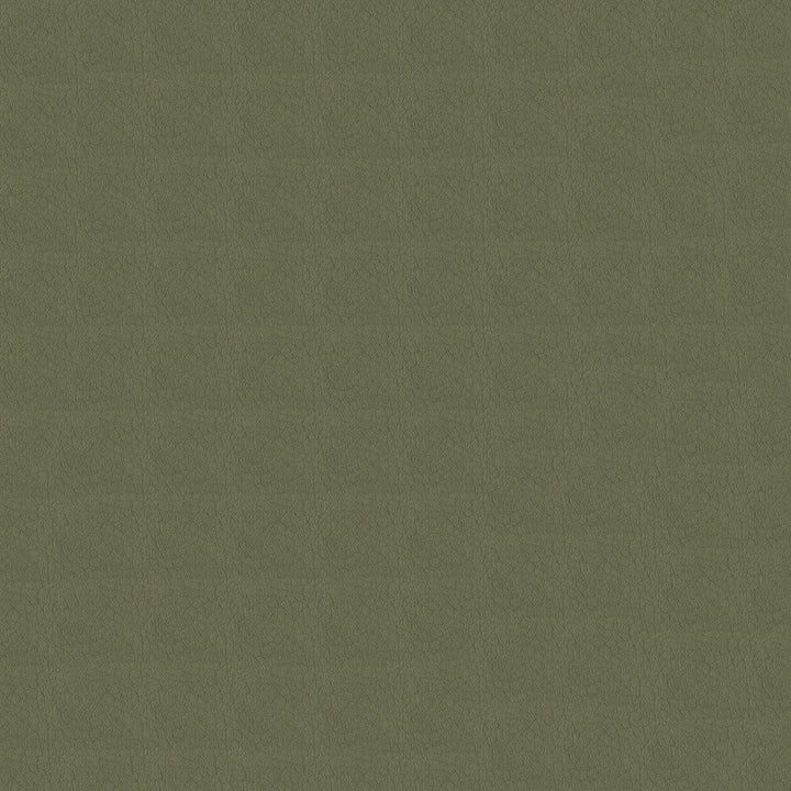 Whisper Vinyl 2120 Antelope by Softside Designer Fabric N/A Vinyl/Urethane Topcoat Costa Rica 100,000 Double Rubs </p><p>Repeat: Horizontal: and Vertical: 54" (137 cm) - Swanky Fabrics -