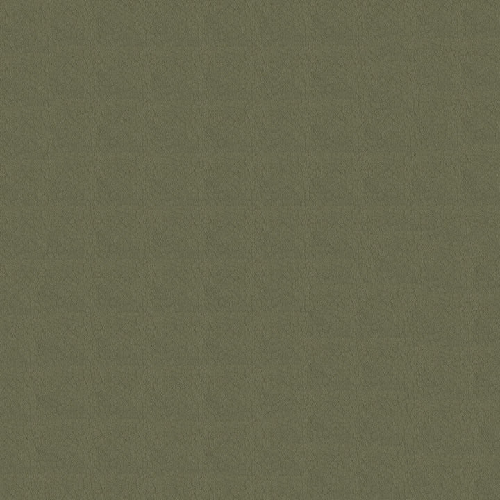 Whisper Vinyl 2120 Antelope by Softside Fabric N/A Vinyl/Urethane Topcoat Costa Rica 100,000 Double Rubs </p><p>Repeat: Horizontal: and Vertical: 54" (137 cm) - Fabric Carolina -