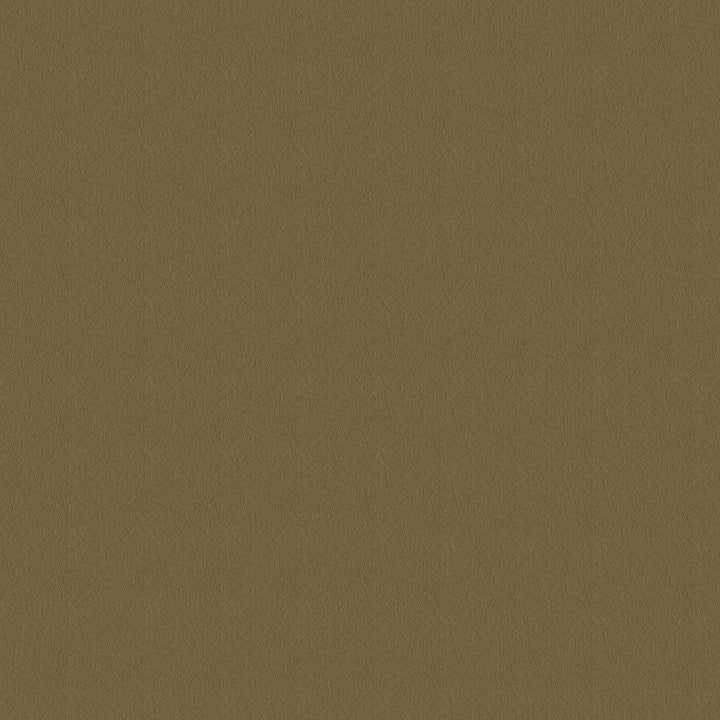 Whisper Vinyl 2121 Cappuccino by Softside Designer Fabric Vinyl/Urethane Topcoat Costa Rica 100,000 Double Rubs (Wyzenbeek) </p><p>Repeat: Horizontal: and Vertical: 54" (137 cm) - Swanky Fabrics -