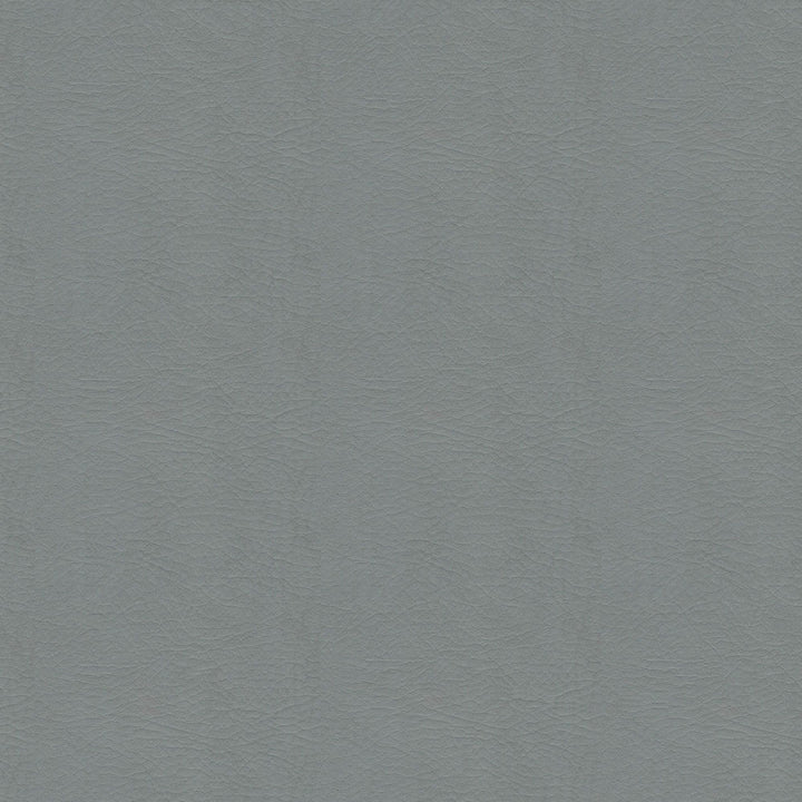 Whisper Vinyl 2154 Pewter by Softside Fabric N/A Vinyl/Urethane Topcoat Costa Rica 100,000 Double Rubs </p><p>Repeat: Horizontal: and Vertical: 54" (137 cm) - Fabric Carolina -