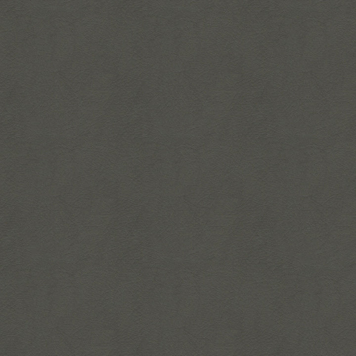 Whisper Vinyl 2155 Storm by Softside Fabric Vinyl/Urethane Topcoat Costa Rica 100,000 Double Rubs (Wyzenbeek) </p><p>Repeat: Horizontal: and Vertical: 54" (137 cm) - Fabric Carolina -